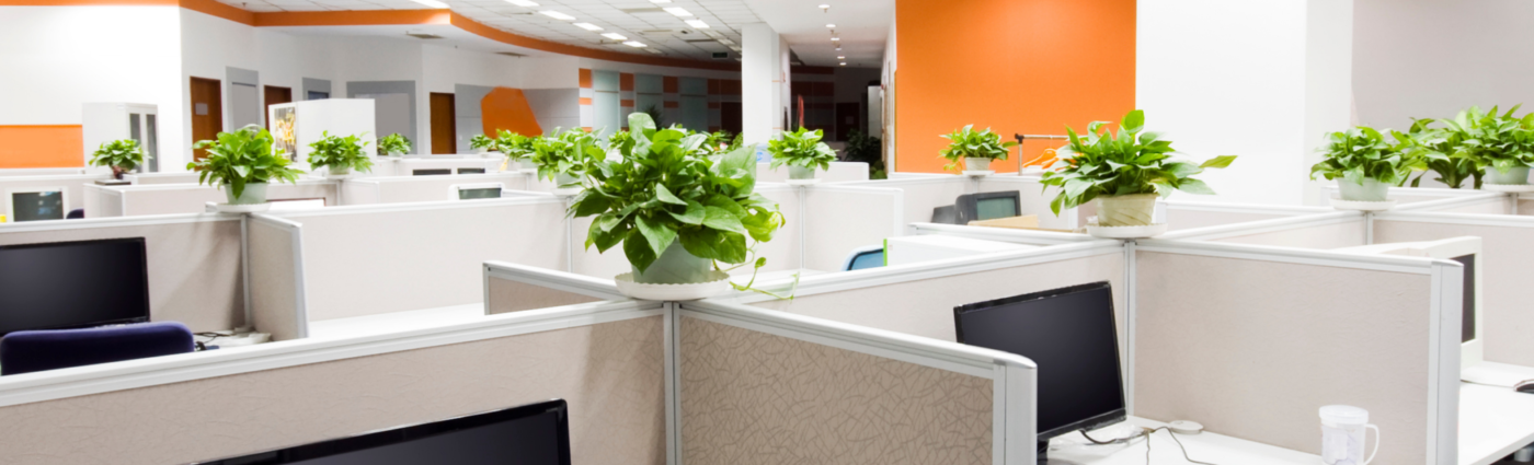  Office Painting Services in Detroit